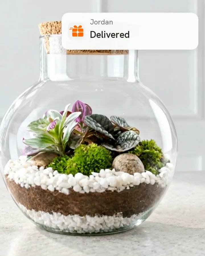 A glass terrarium on a counter with a giftoncue notification saying it has been delivered